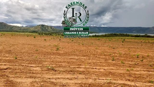 Fazenda 462 Alqueires Beira Lago Palmas Dupla Aptidão - Foto 5