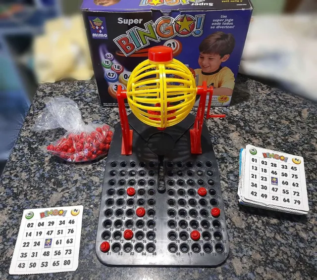Jogo Bingo 24 Cartelas 90 Fichas Infantil Criança 6 Anos Brinquedo