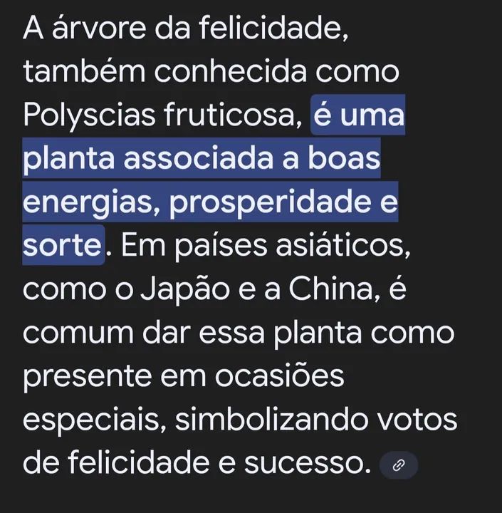 Planta em vaso( Árvore da Felicidade)!!! - Foto 6