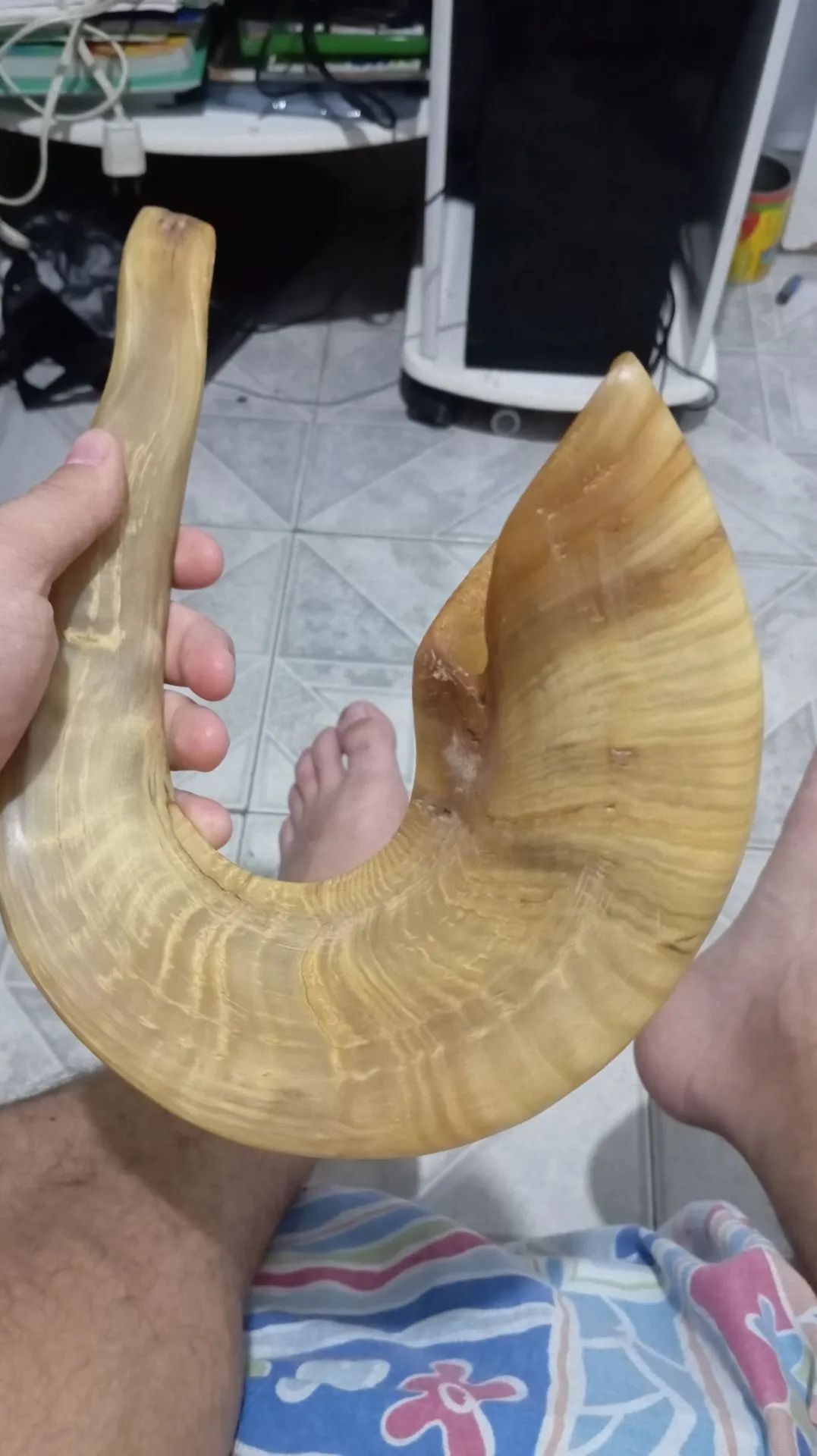 Shofar de Israel