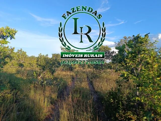 Fazenda 119 Alqueires Bruta Dupla Aptidão - Foto 3