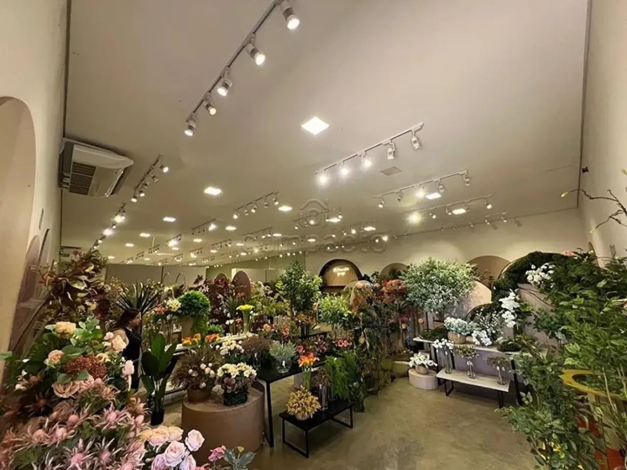 Comercial Barracão em São José do Rio Preto - Foto 3