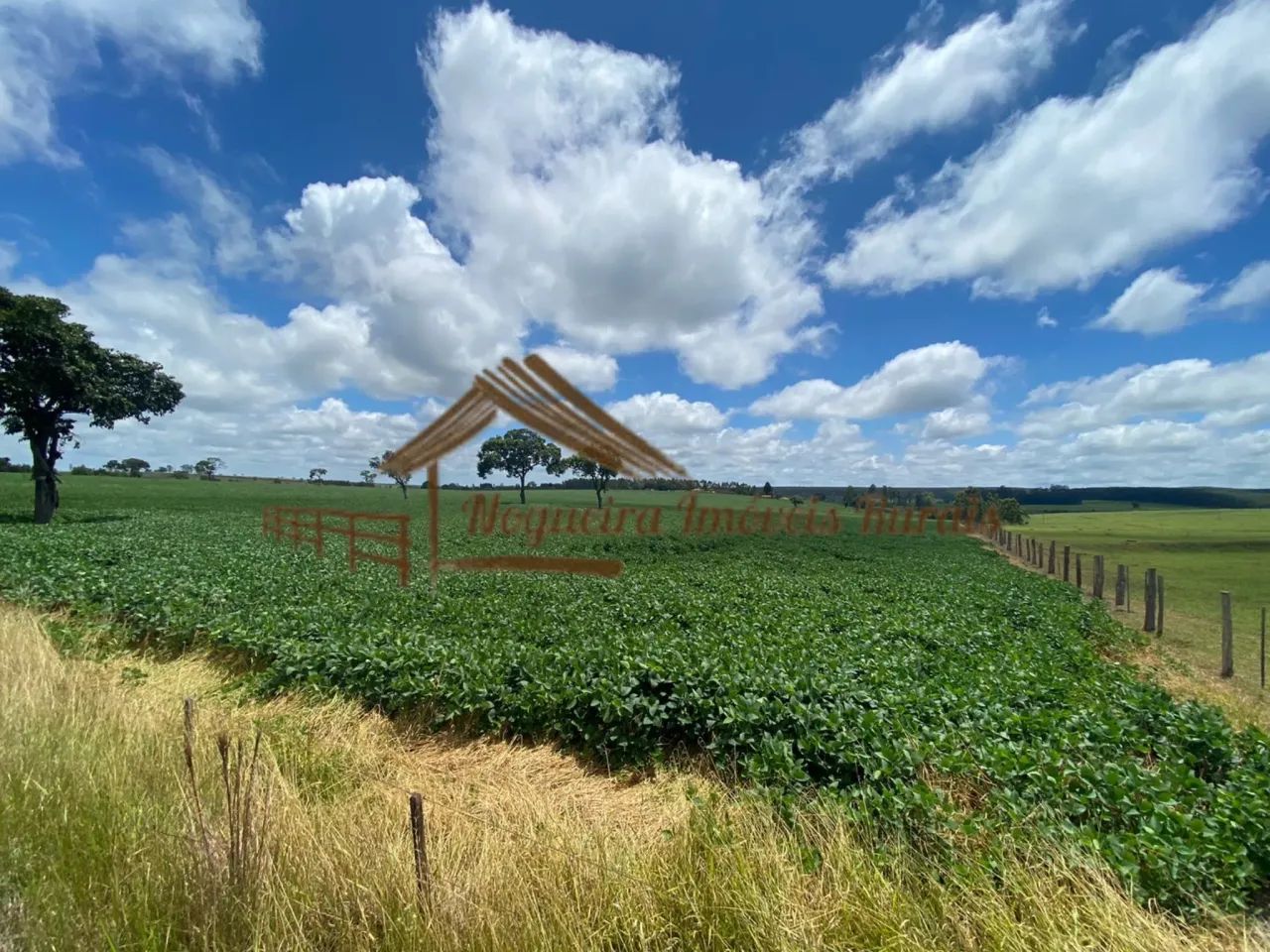 Sítio com 16 Alqueires na Região De Avaré-SP - Foto 15