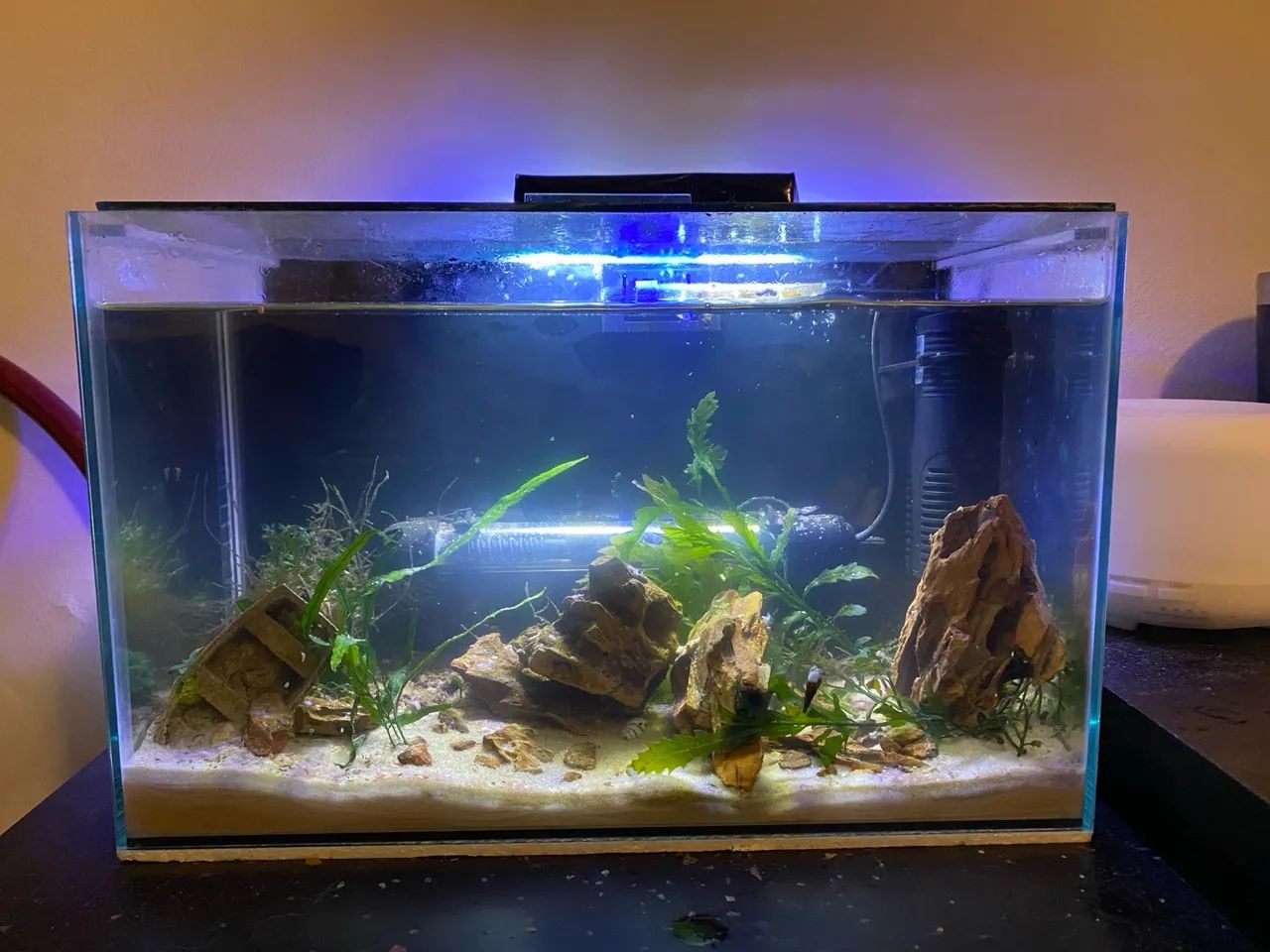 Aquário com Filtro e Iluminação - Foto 3