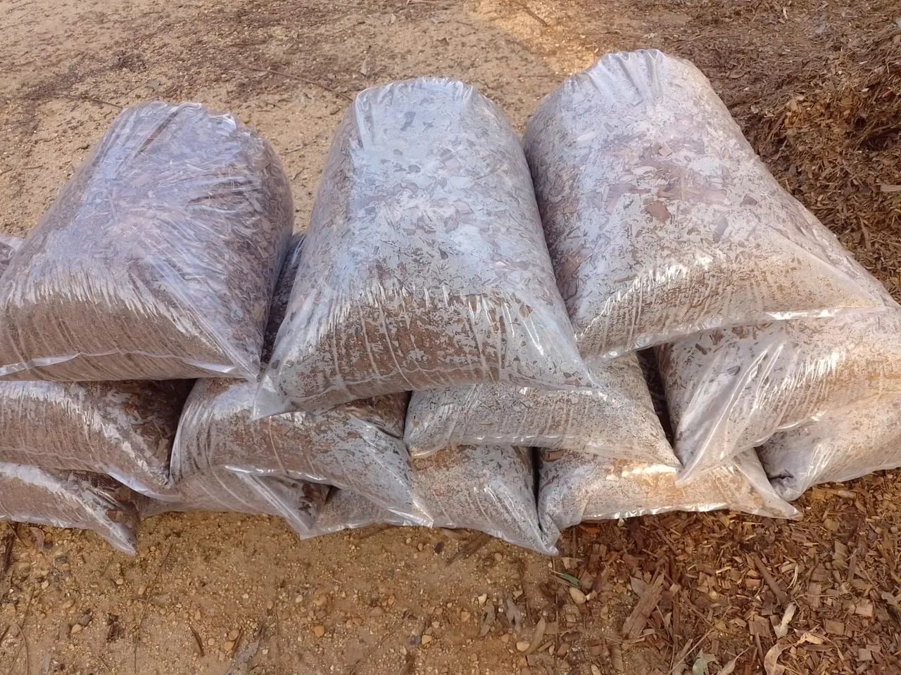 Casca de Eucalipto para cobertura do solo - Foto 3