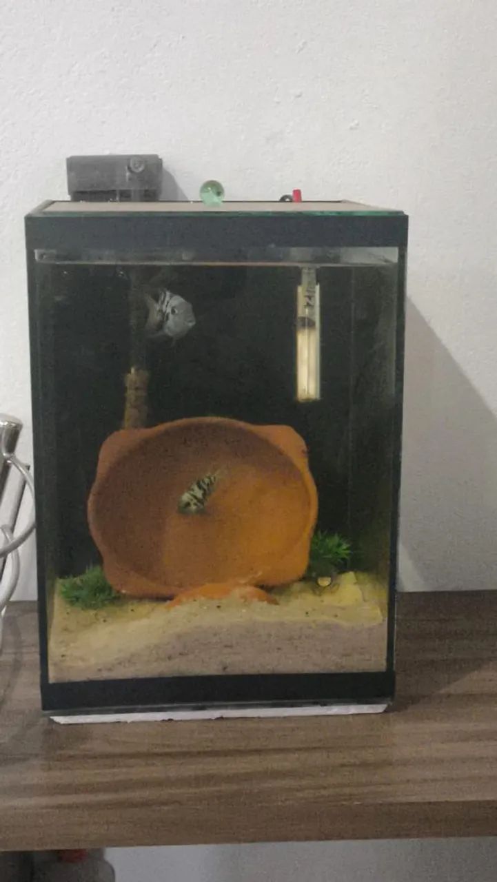 Aquários 21L e 36L 