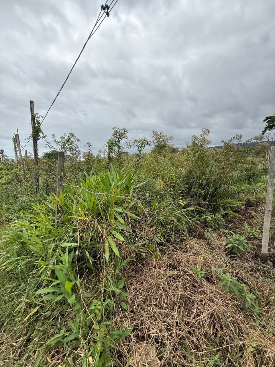 Terreno 5 x 30 