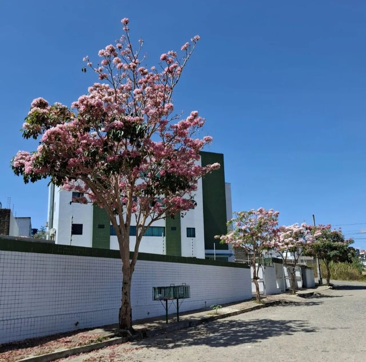 Foto - Campina Grande - Presidente Médici