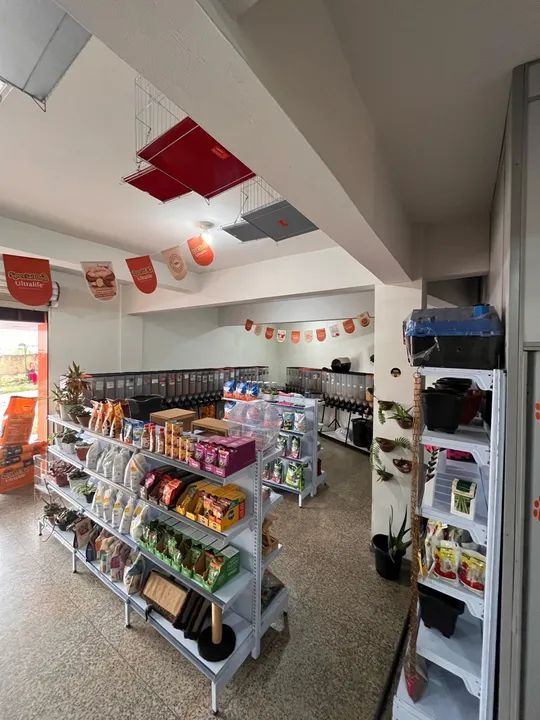 Pet Shop - Essência Animal - Foto 3