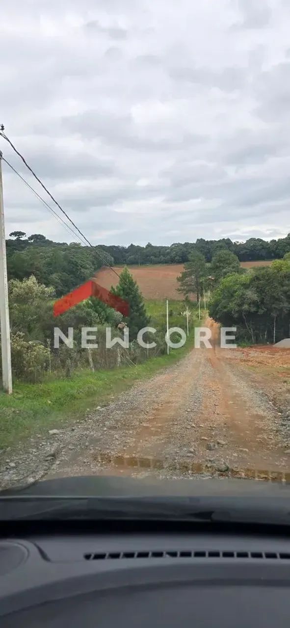Lote em Rua Faustino Sabotta - Zacarias - São José dos Pinhais/PR - Foto 4