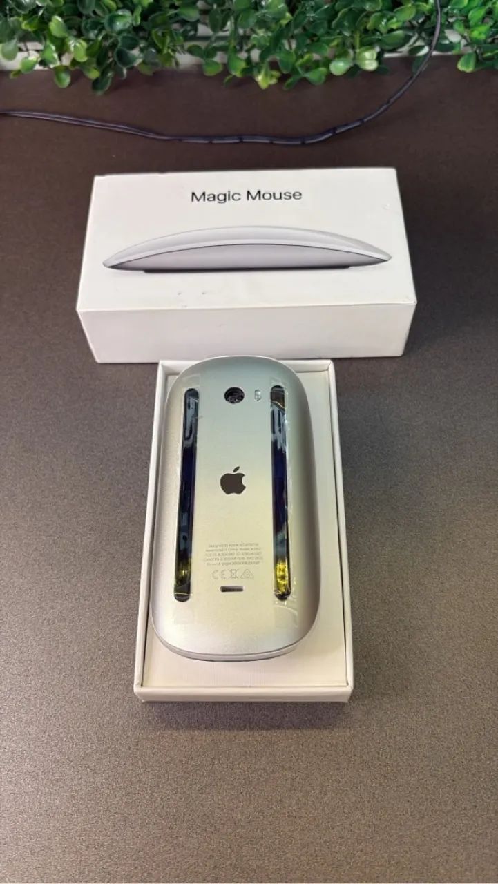 Apple Mouse Magic Apple 2 - Novo caixa aberta 