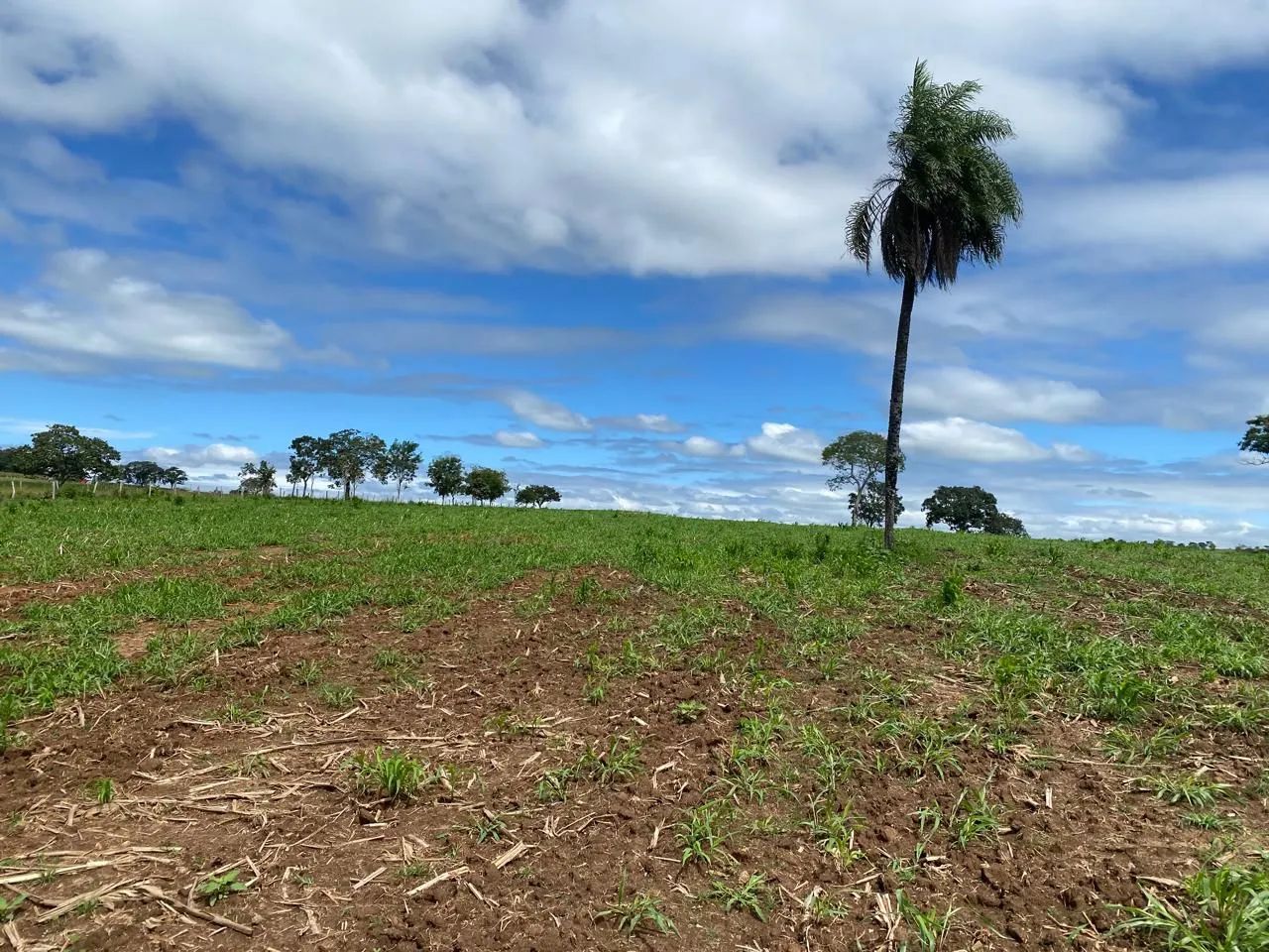 Chácara 20 mil MT² (Itaberaí) - Foto 4