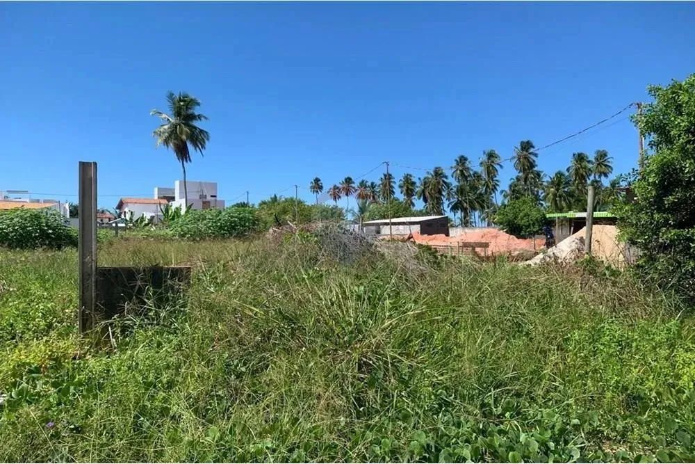 No Paraíso de Tatuamunha tem umTerreno esperando por você! - Foto 6