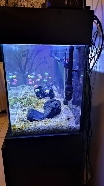 Aquário 120 Litros com Armário - Foto 6