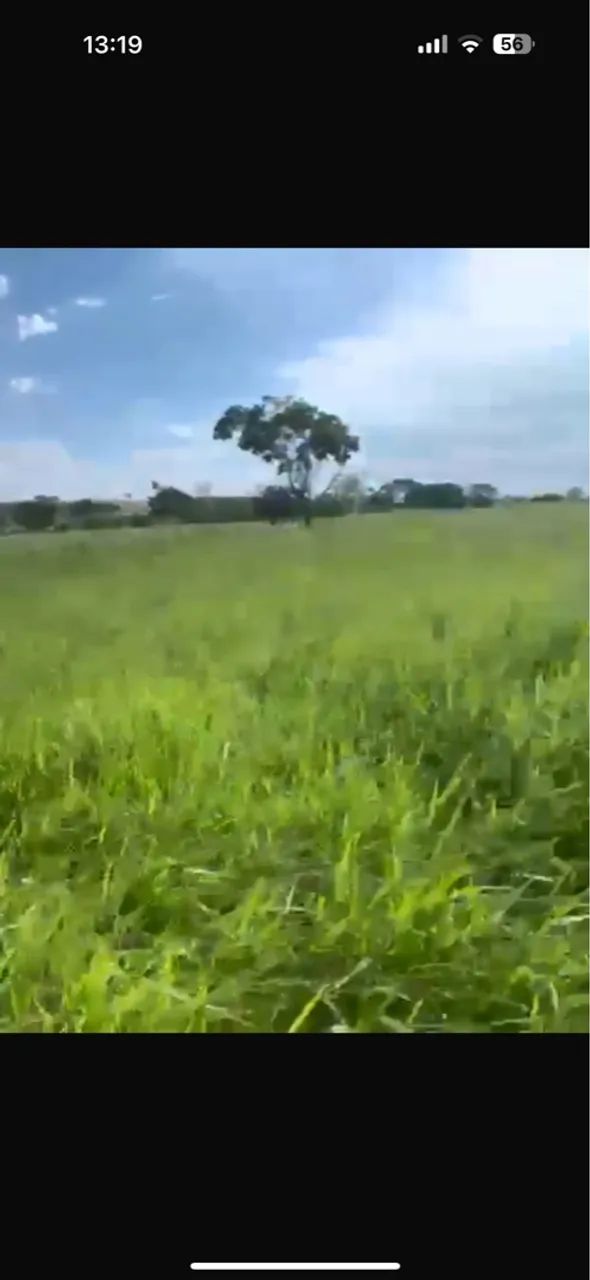 Excelente fazendinha município de monte alegre  - Foto 5