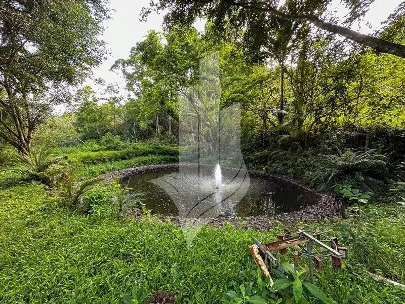 Chácara com cachoeira em Indaial - SC - Foto 7