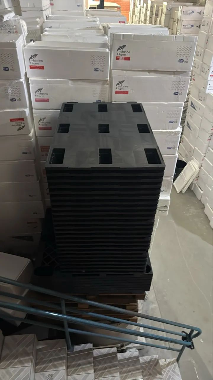 Palets semi novo  - Foto 4