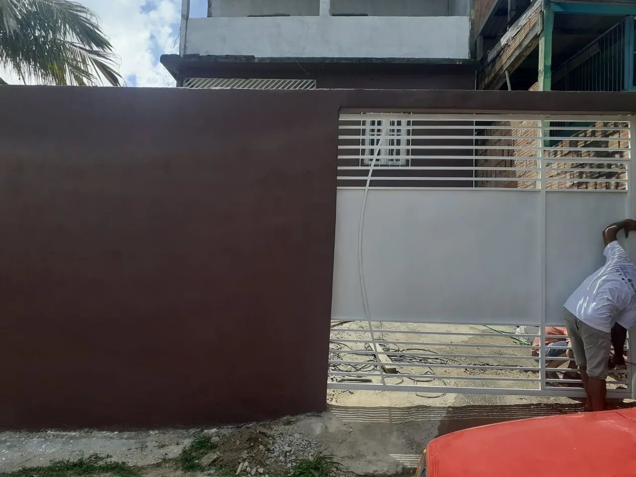 Foto - Manaus - Raiz