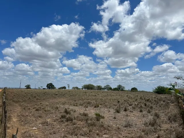 FAZENDA COM 120 TAREFAS - GRACCHO CARDOSO