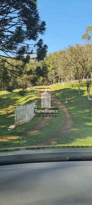 Chácara com 5 dormitórios à venda - Foto 5