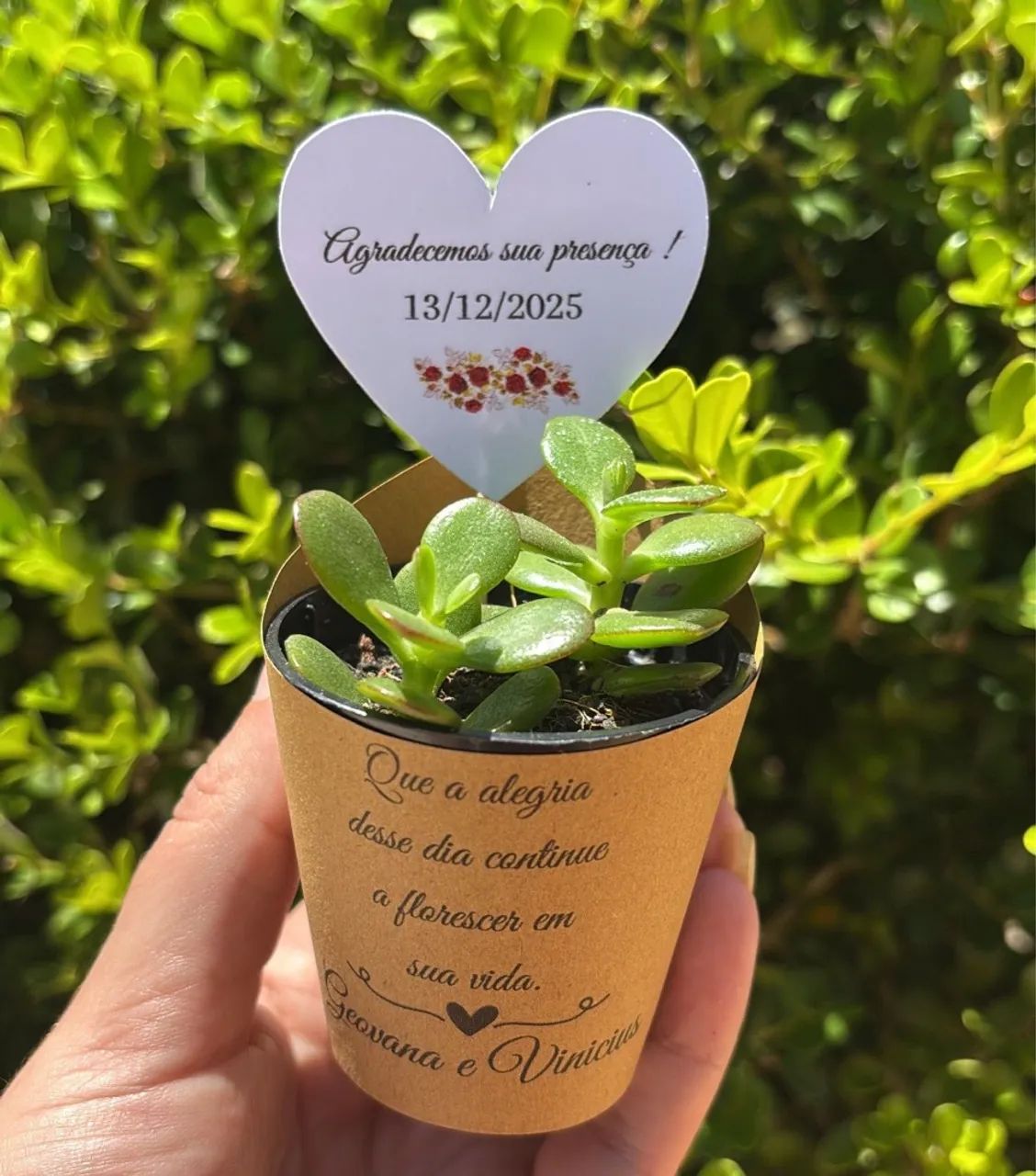 Lembrancinha de suculenta personalizada