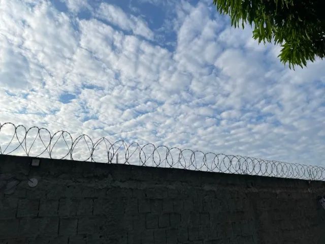 Concertinas  - Foto 3