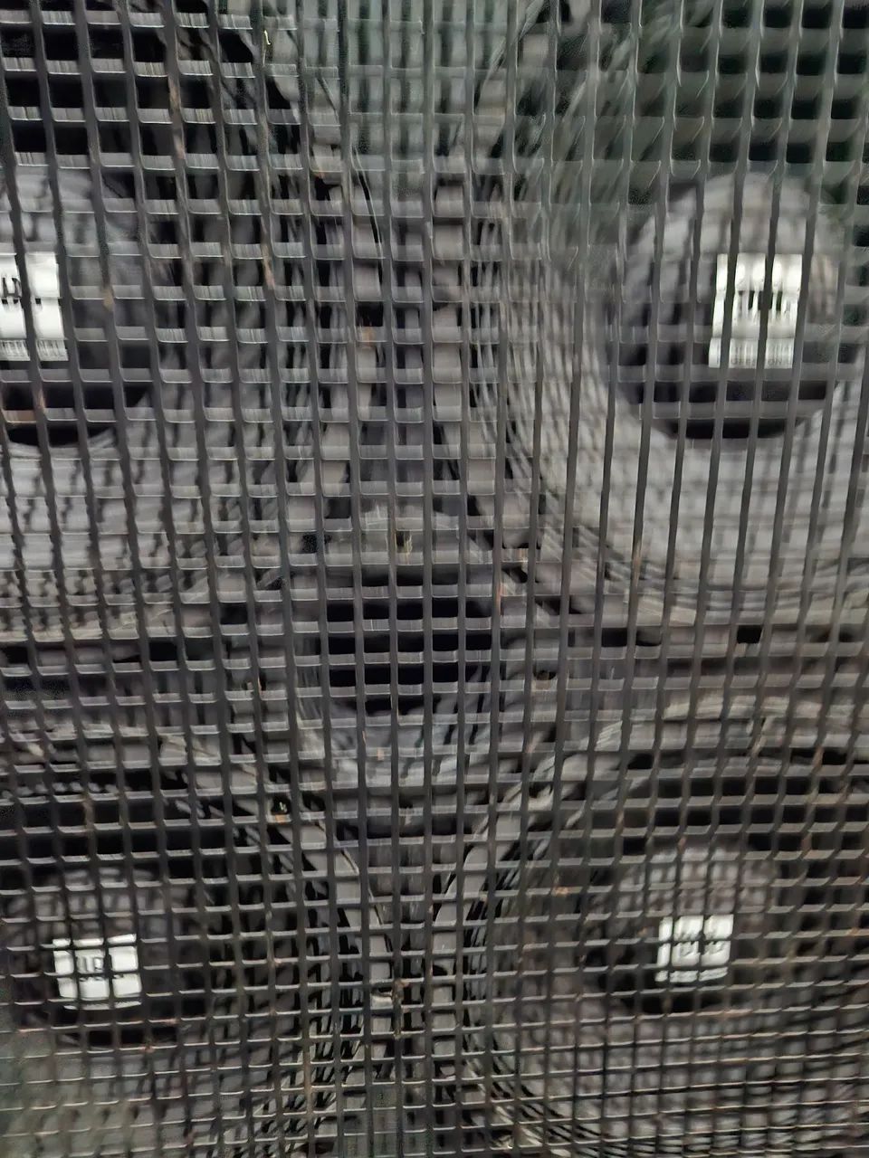 Caixa de Baixo 4 Alto-falantes 10" Jbl e Drive - Foto 4