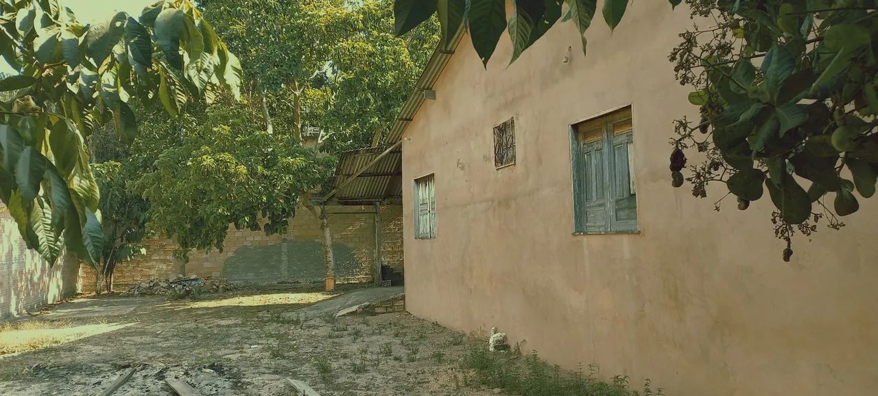 Foto - Santarém - Livramento
