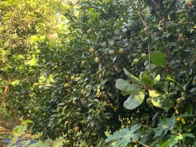  Chácara à Venda na Chapada dos Guimarães - ECO VILLE II - Beira de Rio! ? - Foto 5