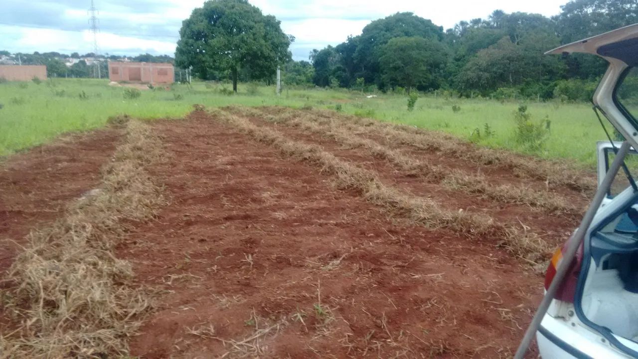 Foto - Campo Grande - Centro