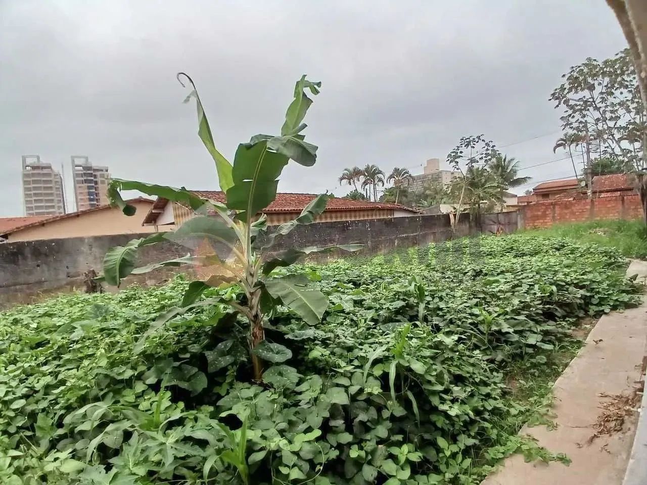 Terreno à venda, 1000 m² por R$ 1.300.000,00 - Jardim Brasil - Caraguatatuba/SP - Foto 5