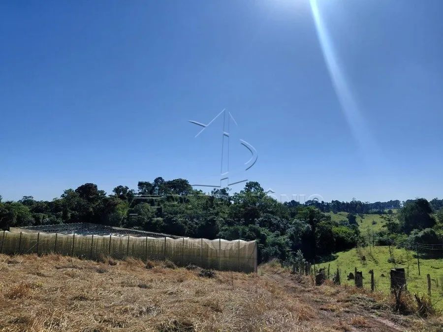 ÁREA COM 20.000 m² - Aparecidinha - Sorocaba/SP - Foto 5
