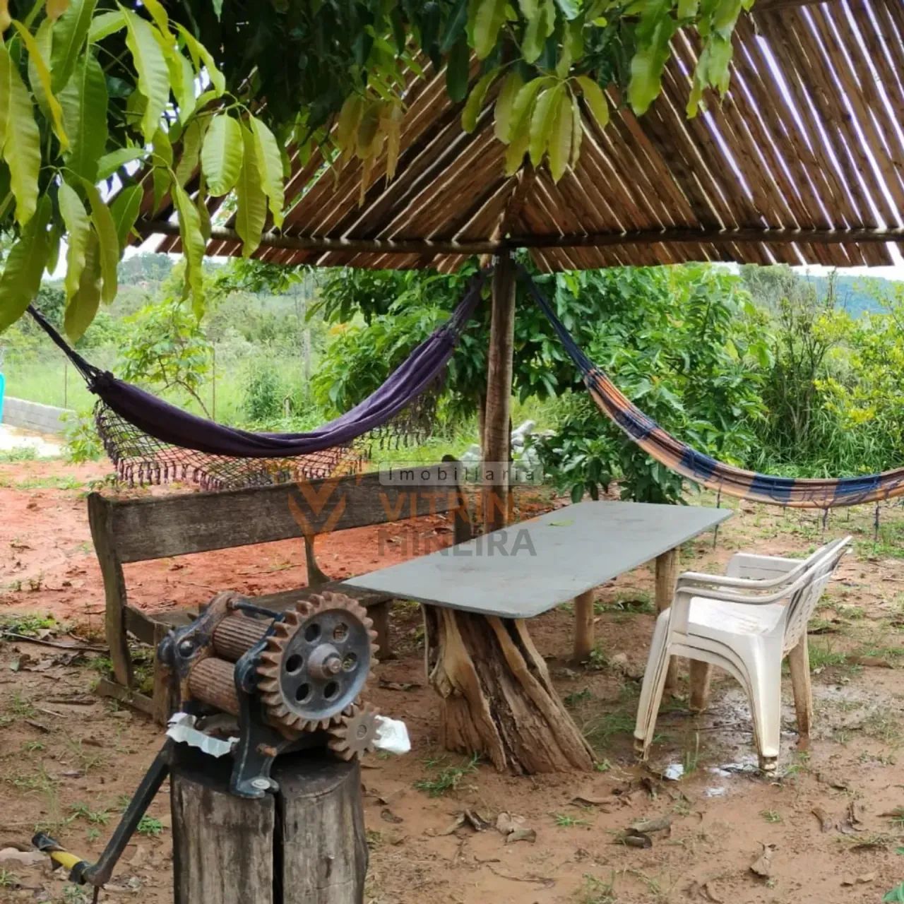 Sítio à Venda  Itaguara/MG - Foto 3