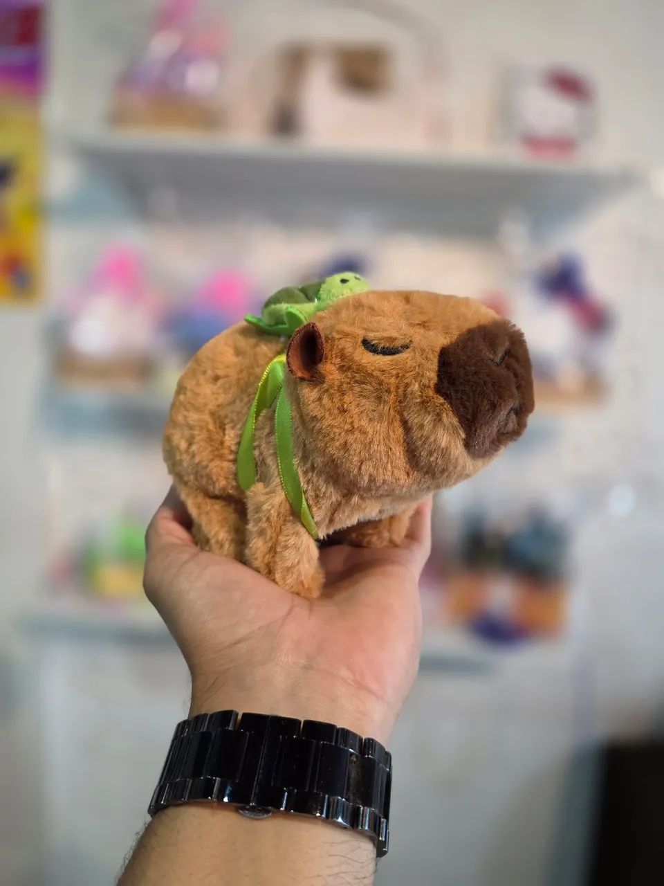 Capivara que anda e "fala" - Foto 2