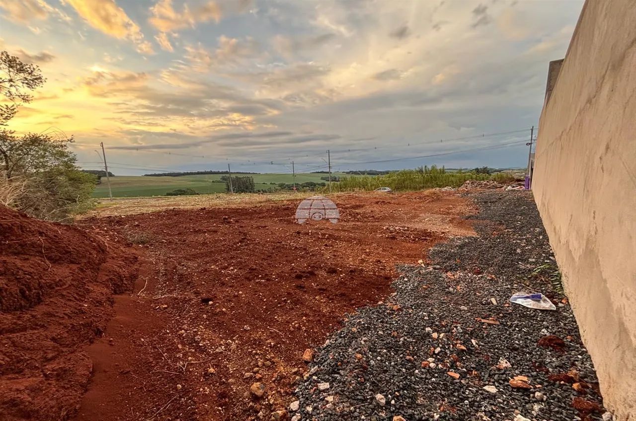 Vendas Terreno Pato Branco PR - Foto 3
