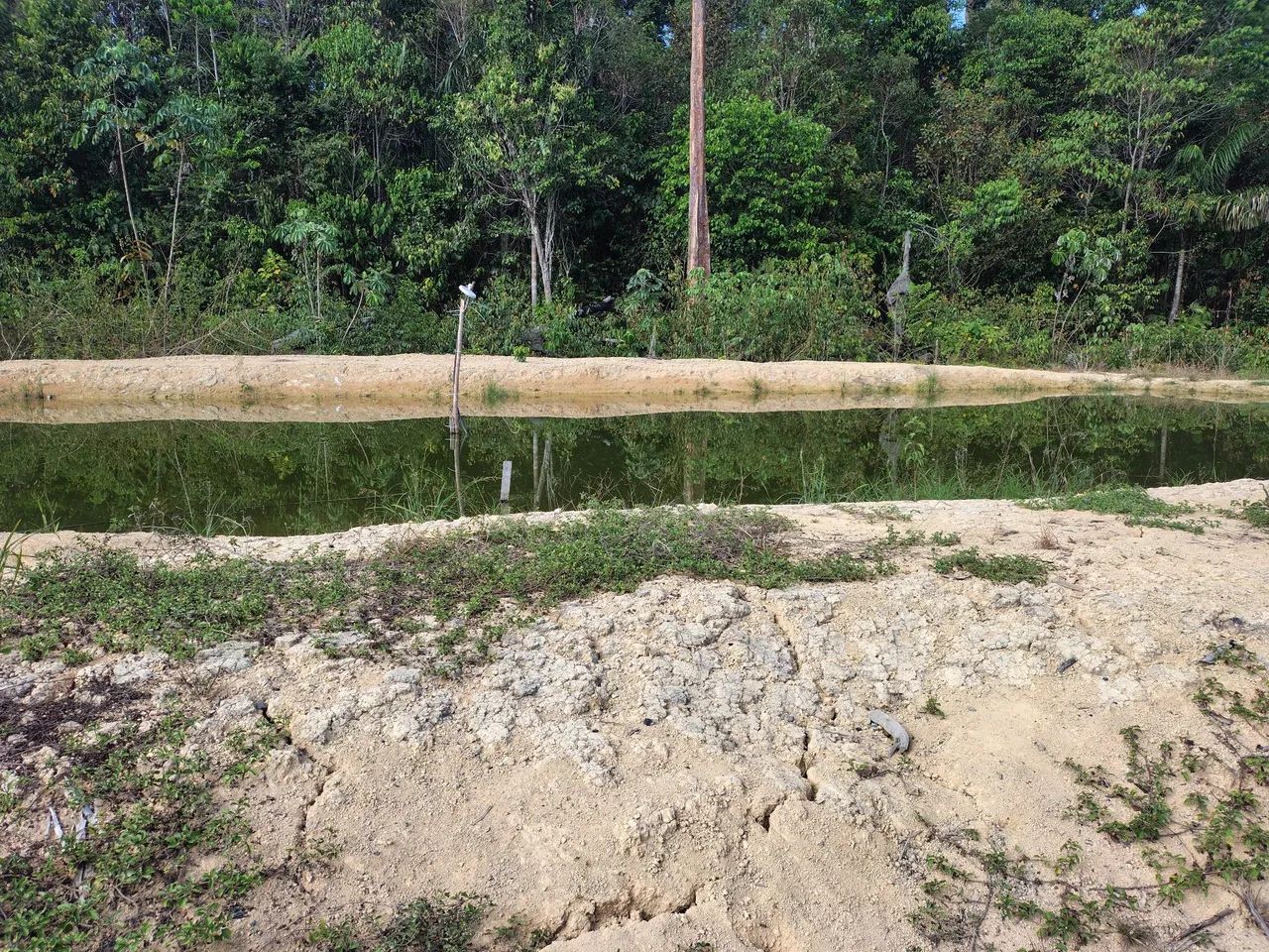 Vendo um lindo sítio no km 41 da BR 174  - Foto 3