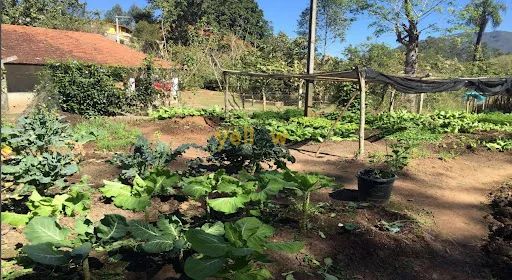 Rural Chácara em Igaratá - Foto 2