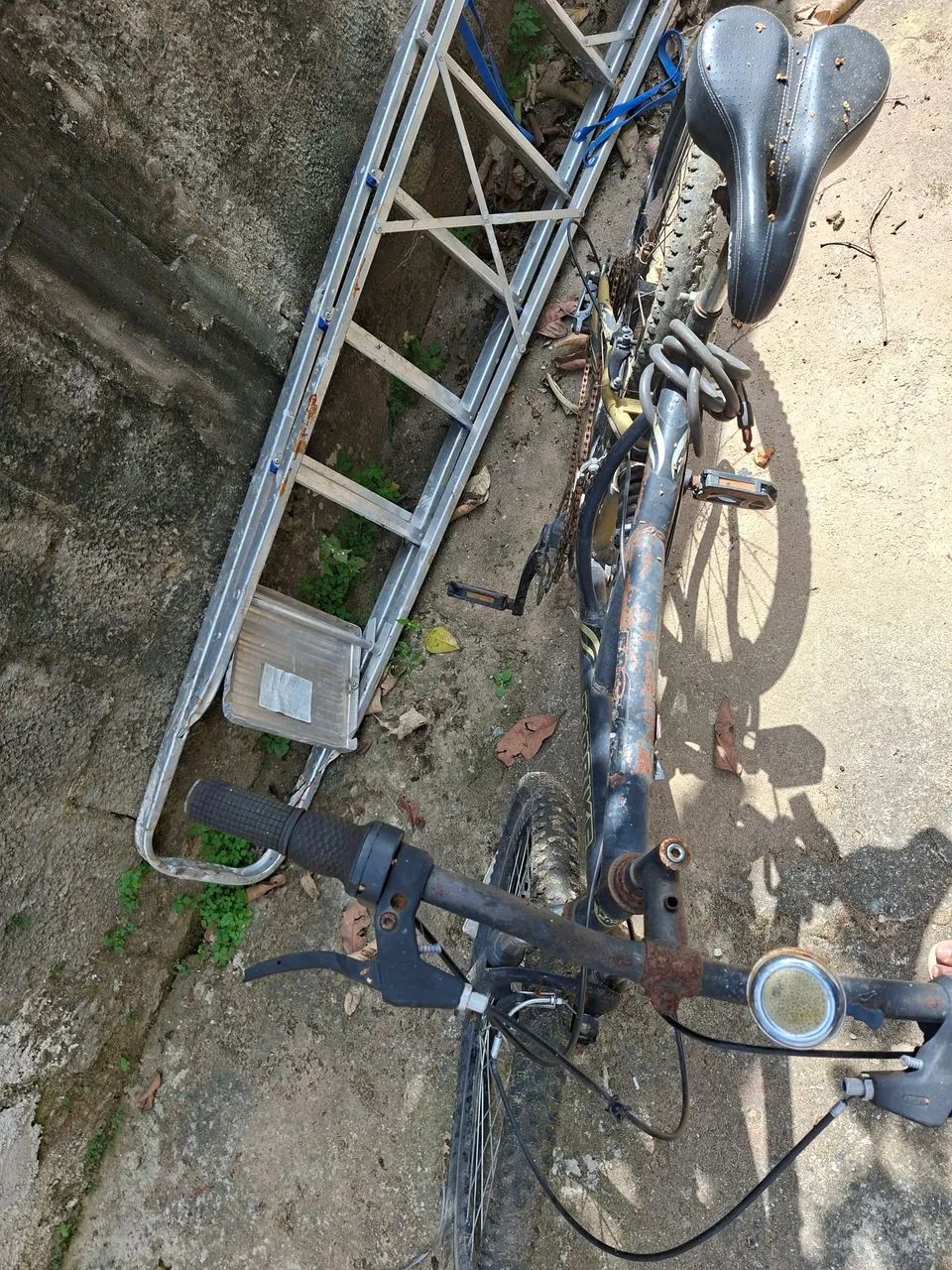 Biscicleta - Foto 5