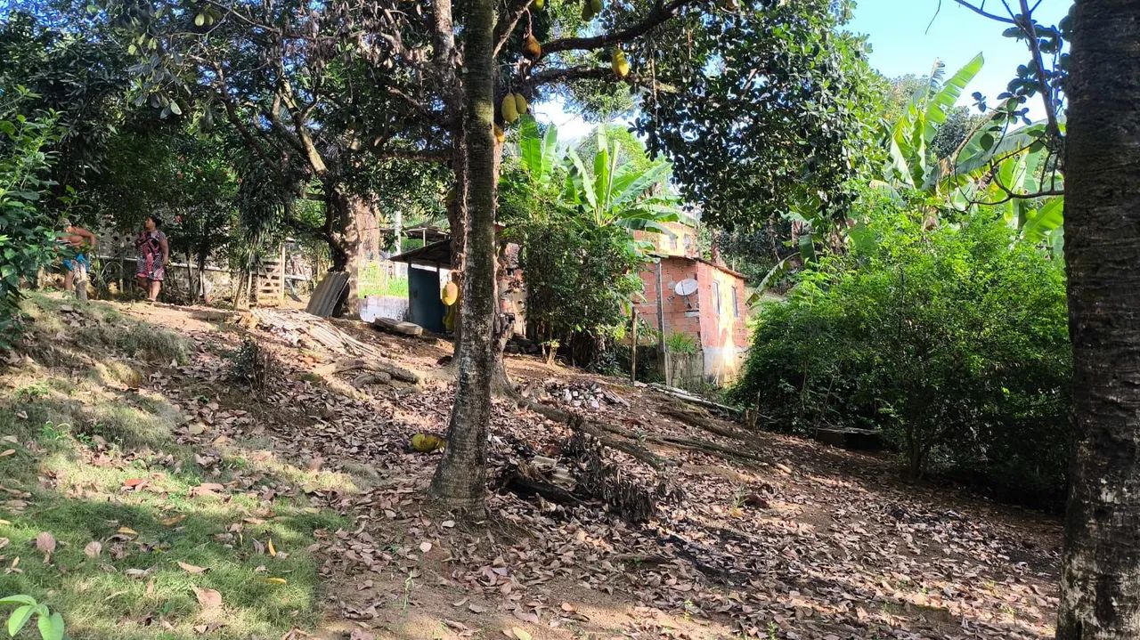 Vendo chácara em Belvedere 160 mil  - Foto 9