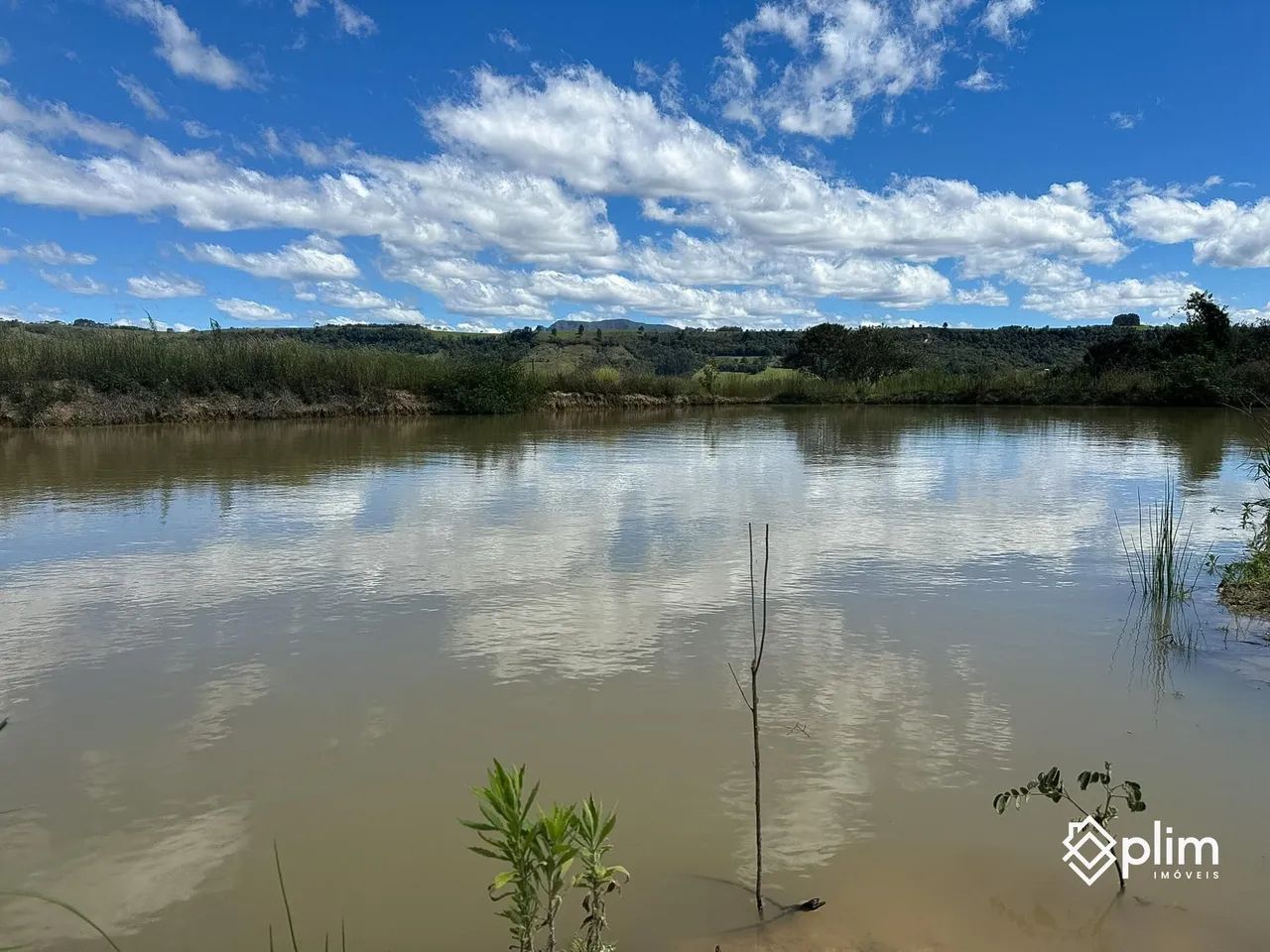 Sítio de 22 Hectares em Alfredo Wagner  SC - Foto 4