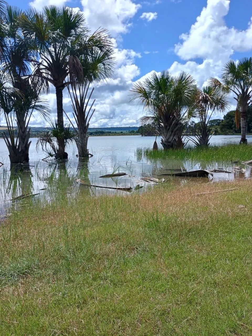 Chácara Lagoa Formosa - Planaltina Goiás  - Foto 4