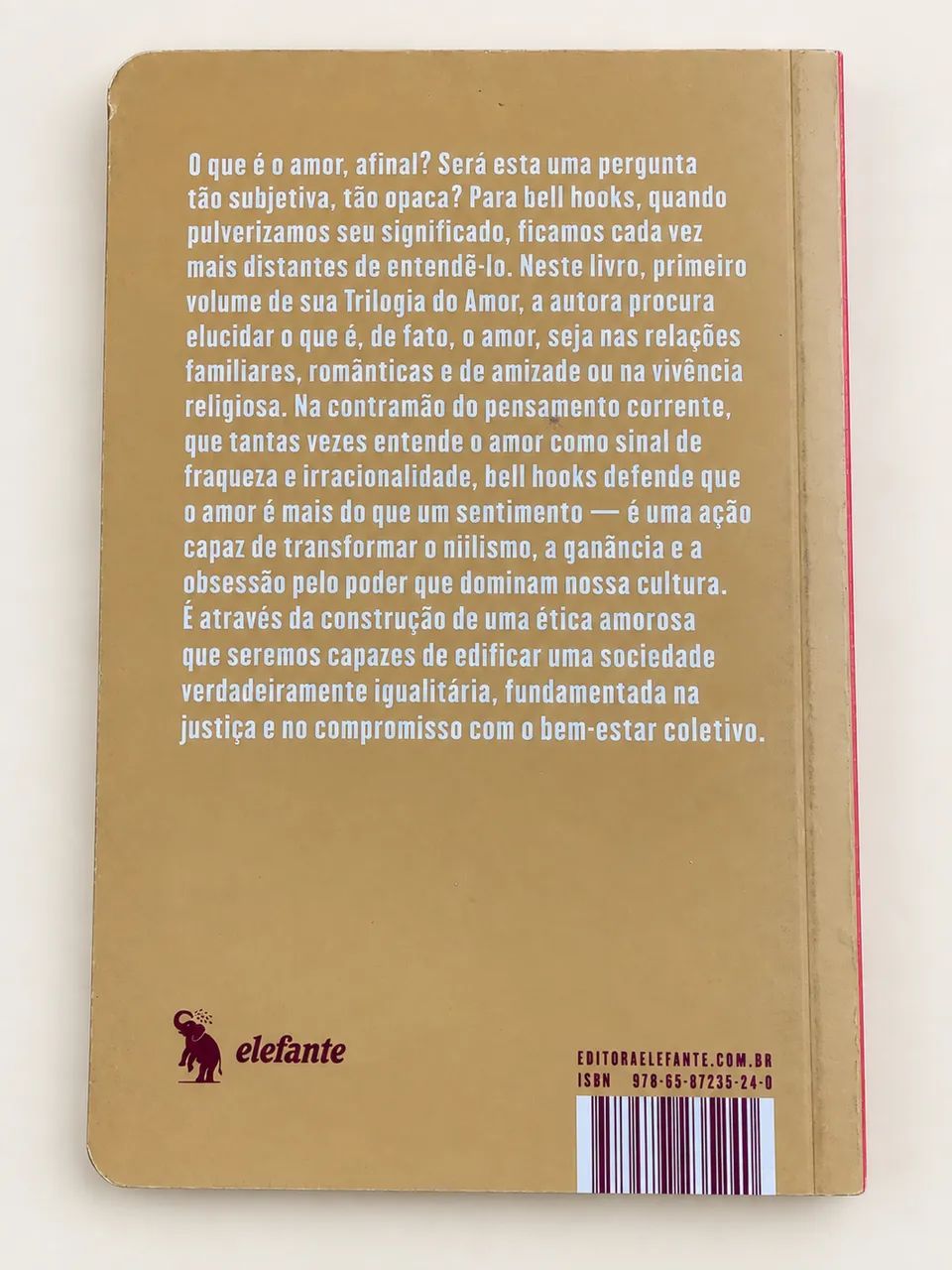 Tudo Sobre o Amor - bell hooks - Foto 2