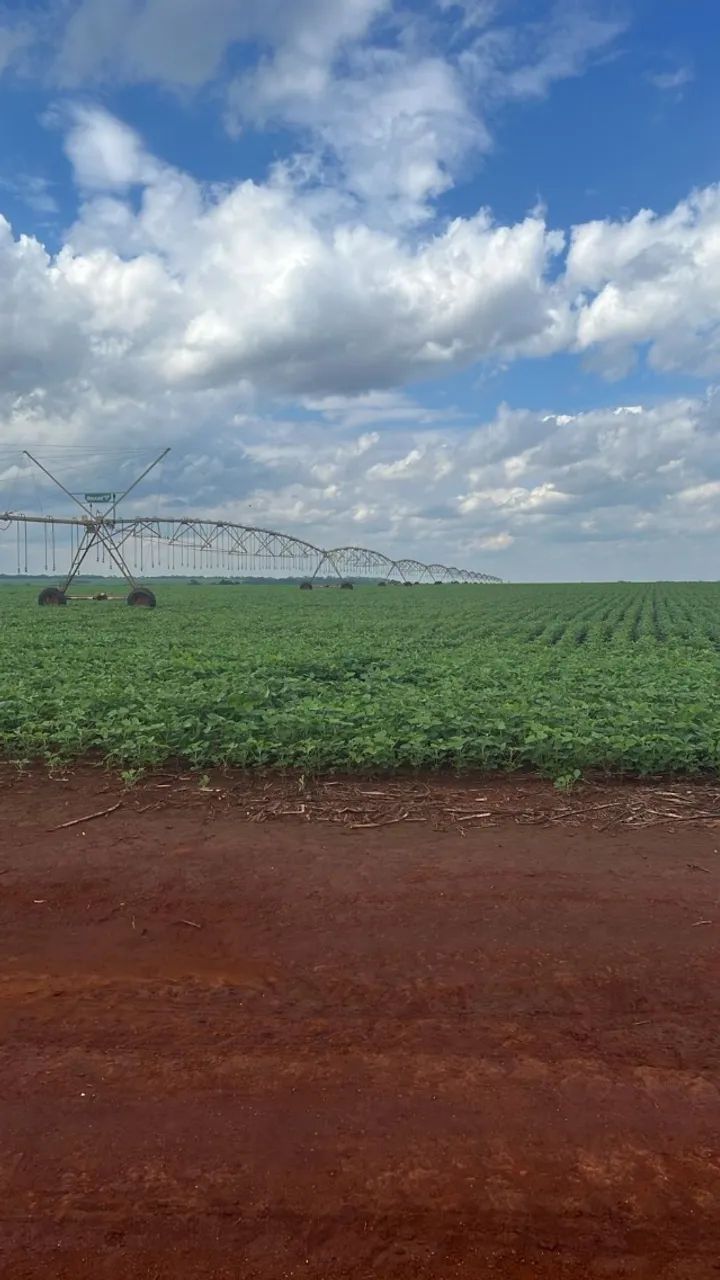 fazenda a venda na região de santa Helena de Goiás - Foto 2