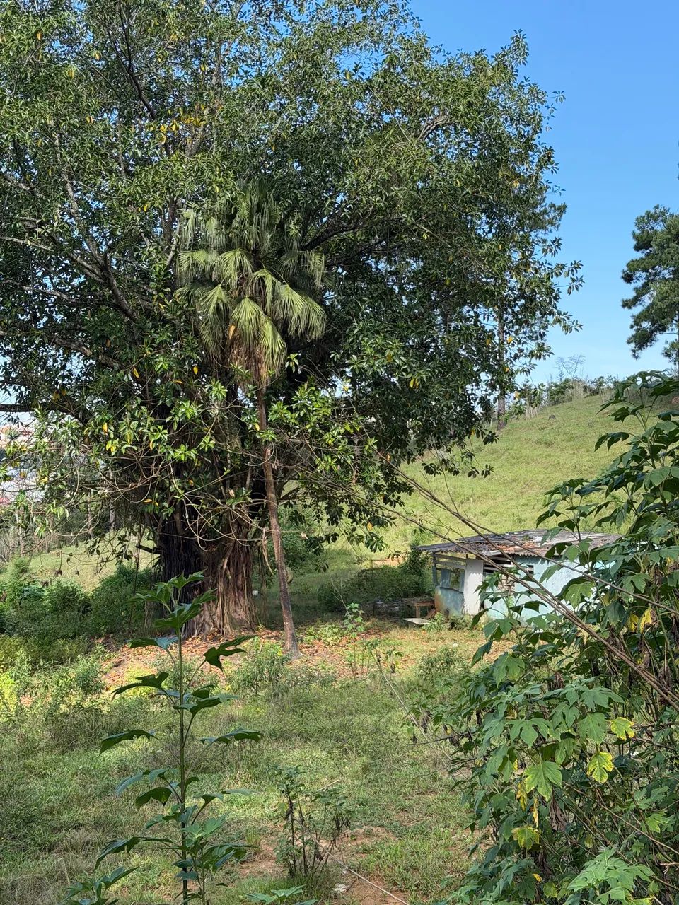 Terreno de 1.000 para chácara  - Foto 2