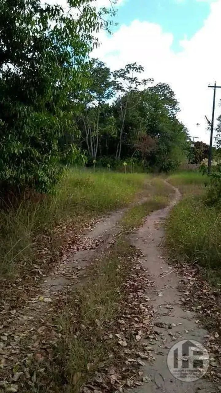 Chácara à venda com 8 hectares em Aldeia - Foto 4