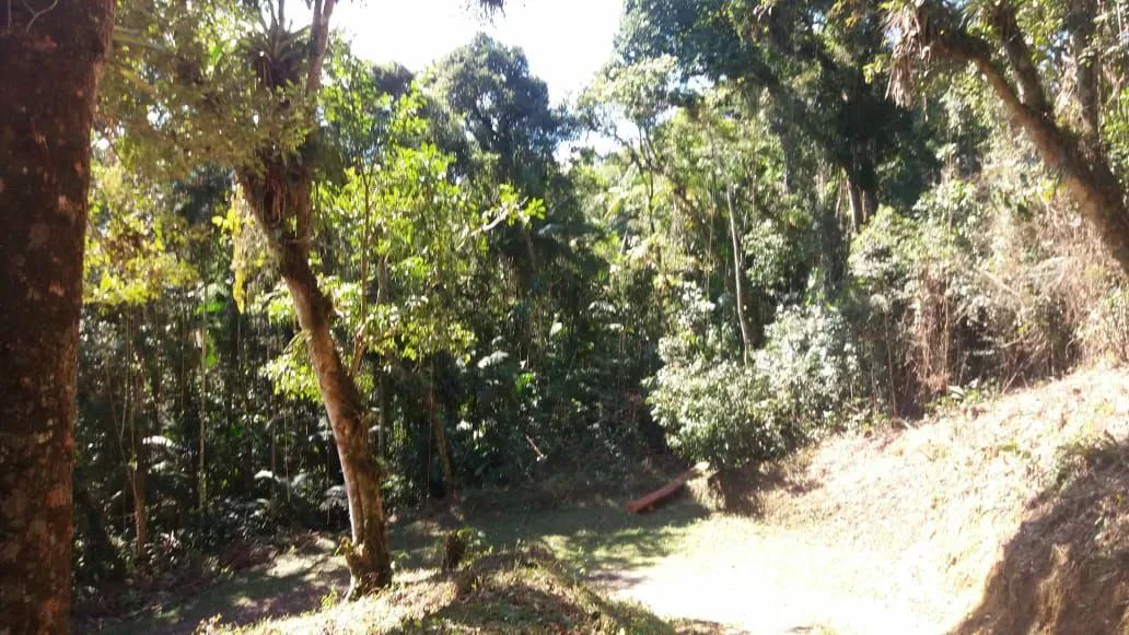 Caseiro para trabalhar - Foto 5