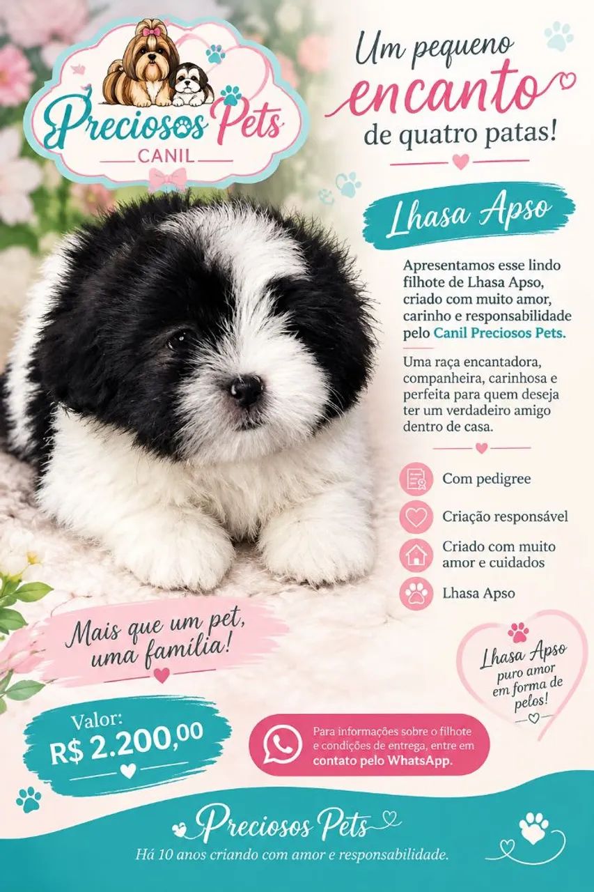 Lhasa apso macho com pedigree  - Foto 4
