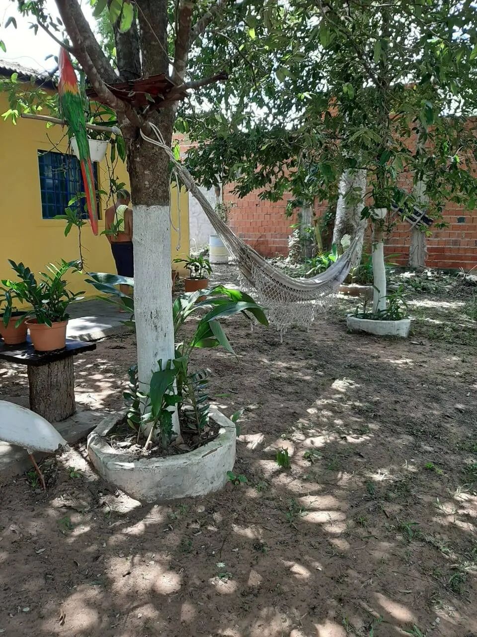 Vendo Chacara 1 hectare e meio com 02 suítes rio Coxipo - Foto 4