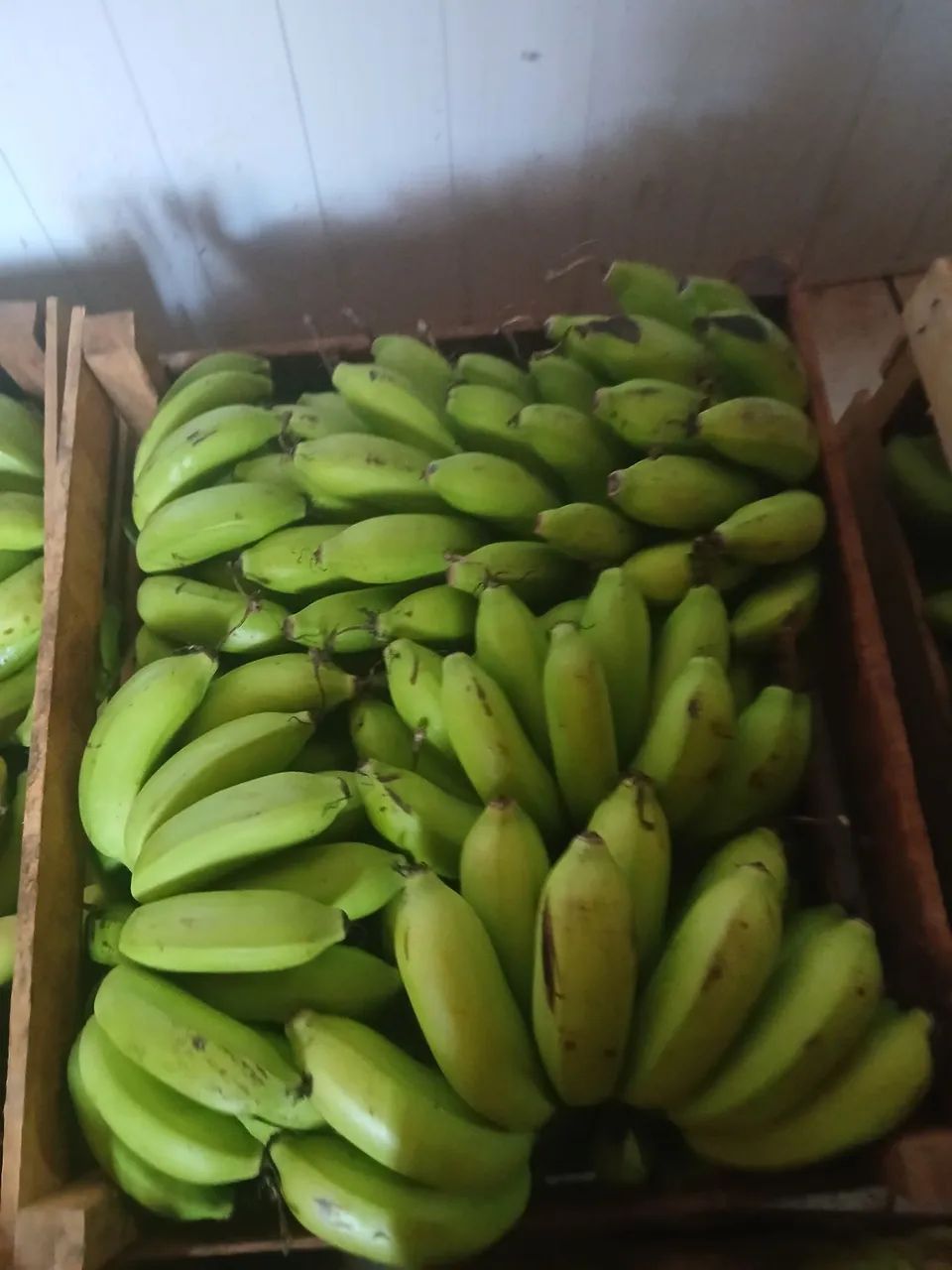 Bananas ?  - Foto 3