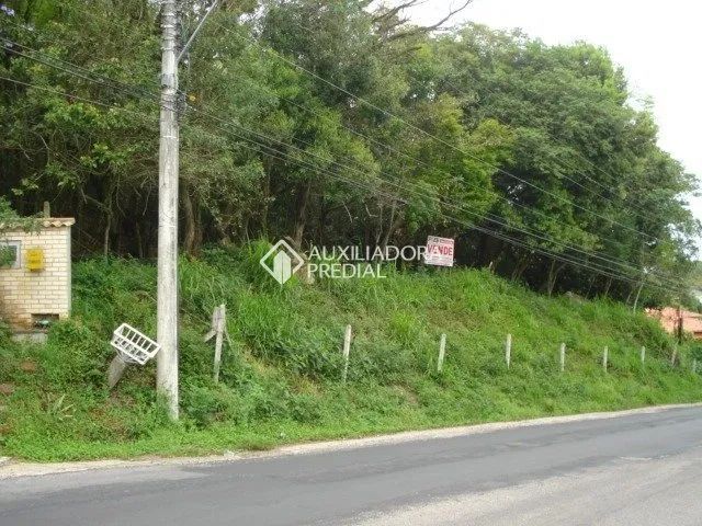 Terreno na Barra da Lagoa - Florianópolis - SC - Foto 5